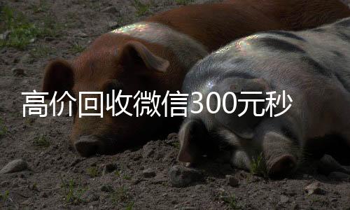 高价回收微信3024小时全天收购vx0元秒结（高价24小时回收微信）